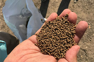 Fish Feed Pellet For Farming