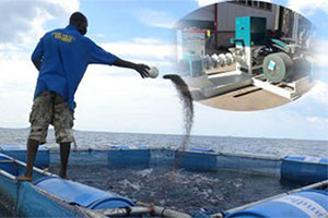 Floating Fish Feed Machine