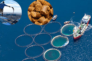 Floating Fish Feed Pellets