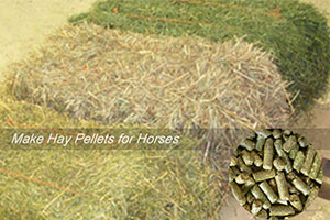 Making Feed Pellets For Horse