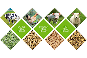 Livestock Feed Pellets