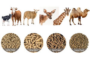 Livestock Feed Pellets