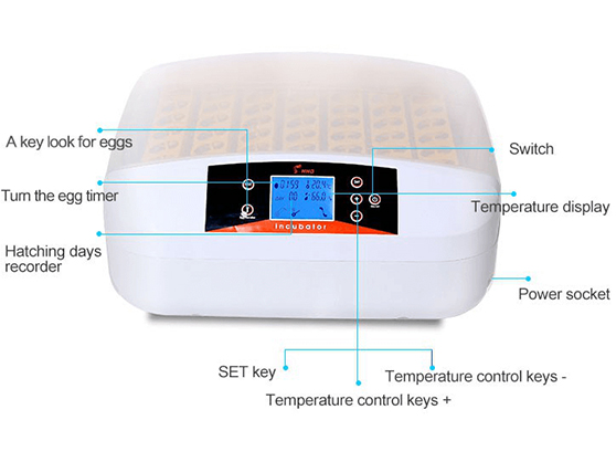 Mini Incubator