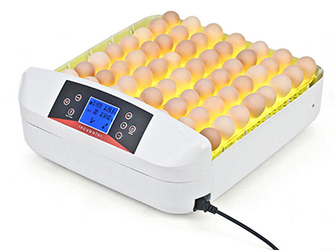 Mini Incubator