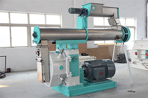 Sugarcane Bagasse Pellet Making Machine