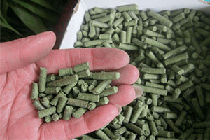 Poultry Feed Pellets For Farming
