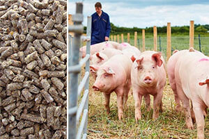 Pig Feed Pellets For Farming