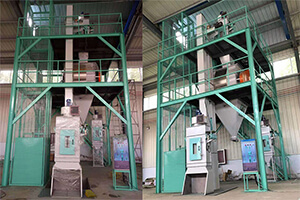 Poultry Feed Pellet Plant