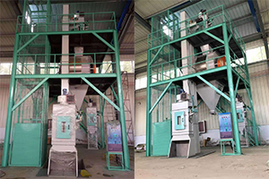 Animal Feed Pellet Production Plant
