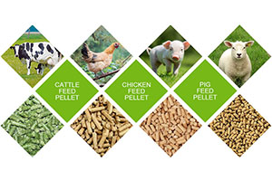 Poultry Feed Pellets