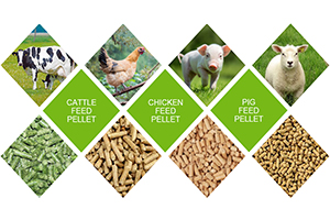 poultry feed pellets