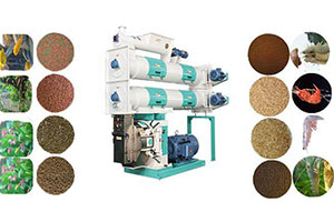 Ring Die Feed Pellet Machine