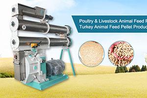 ring die feed pellet machine