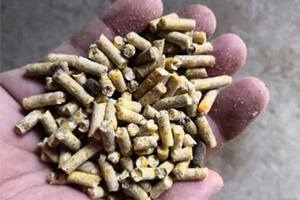 livestock feed pellets for farming