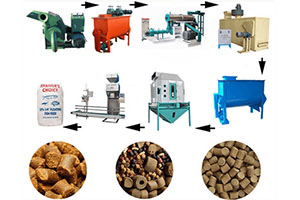 Wet Fish Feed production Line