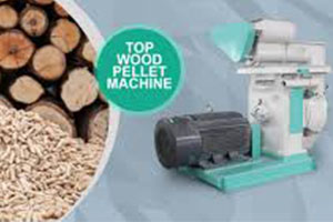 Wood Pellet Machine