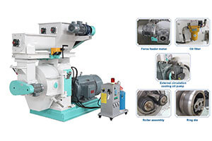 Biomass Wood Pellet Machine 