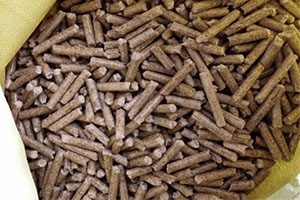 Wood Pellet Fuel