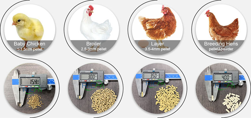 chicken feed pellets for farming
