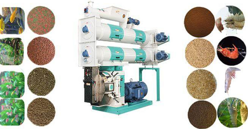 ring die feed pellet machine