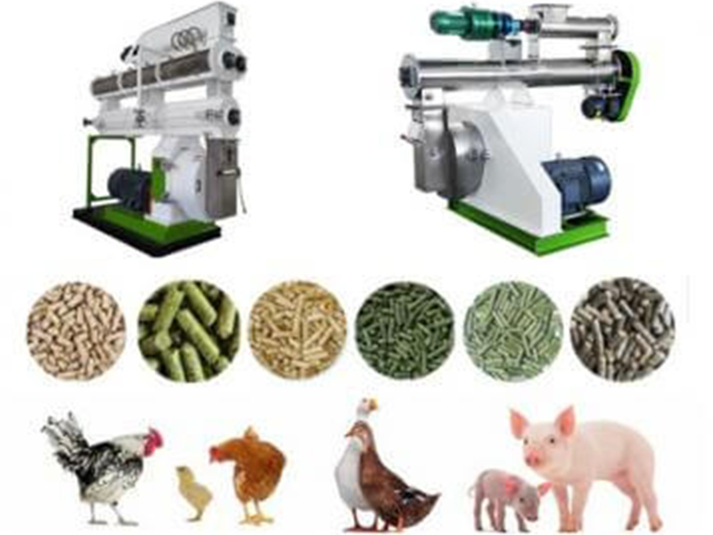 ring die feed pellet machine