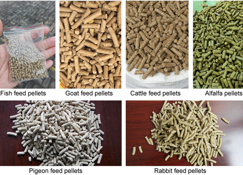 animal feed pellets