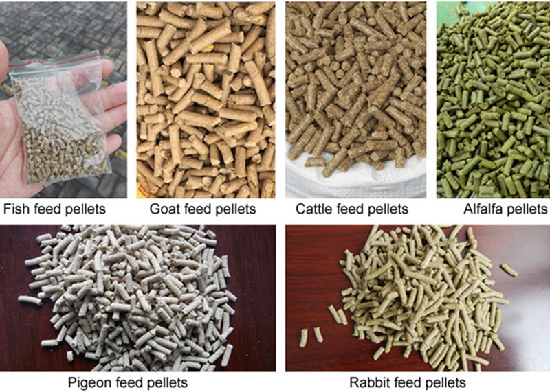 feed pellets