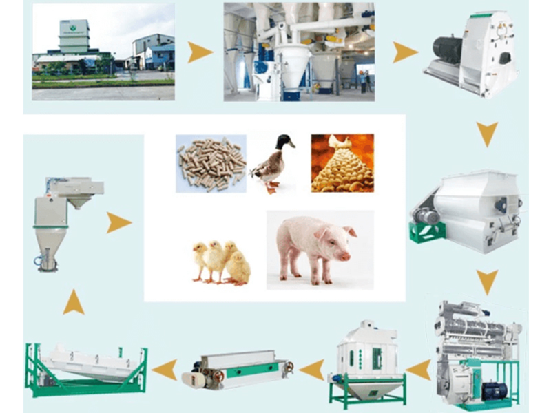 feed pellet plant