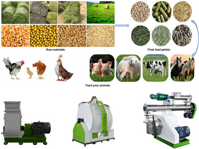 animal feed making machinery