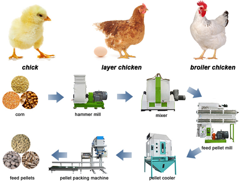 feed pellet production line