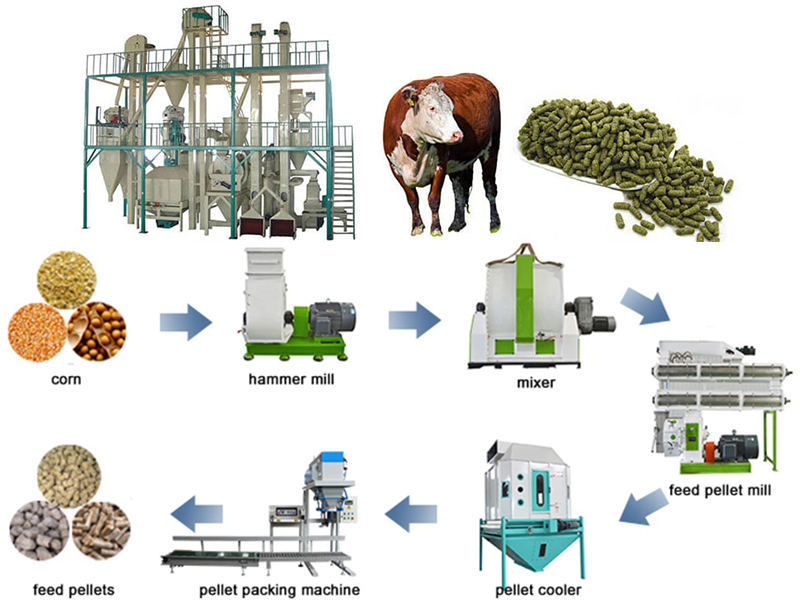 feed pellet processing equipment