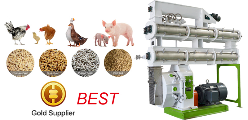 ring die feed pellet mill machine