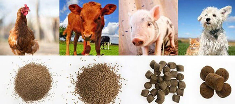 animal feed pellets