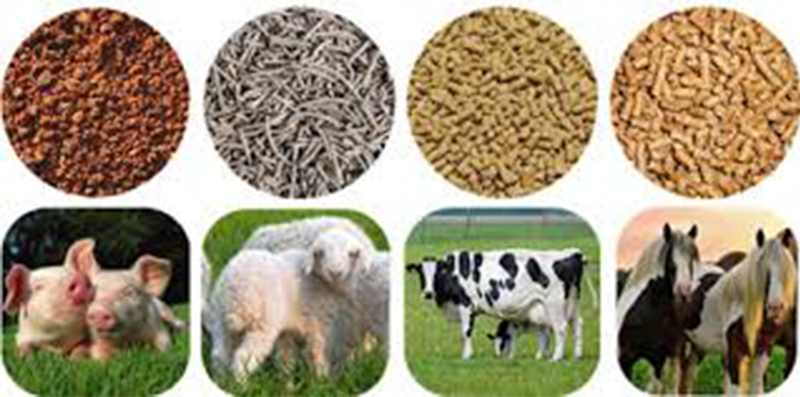 animal feed pellets