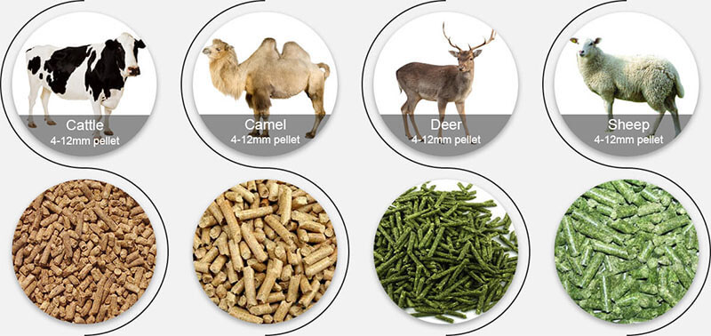 animal feed pellets