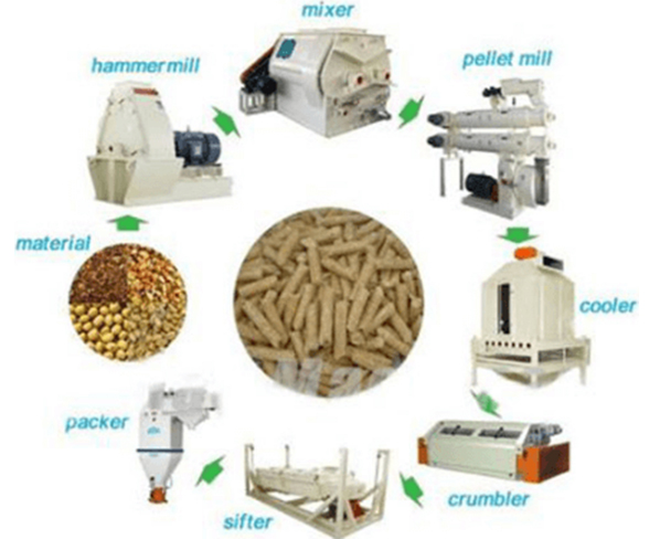 animal feed plant