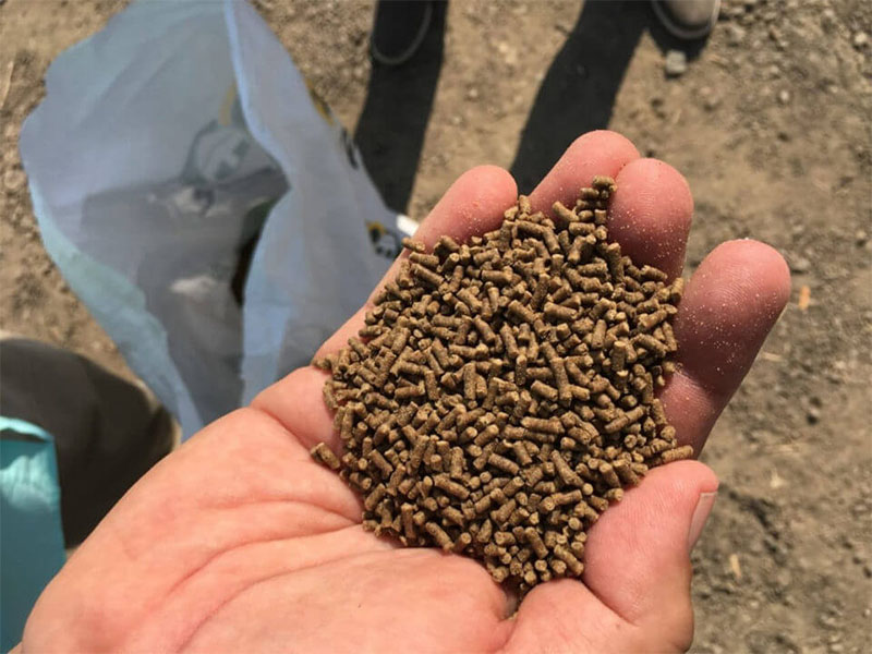 aquatic feed pellets