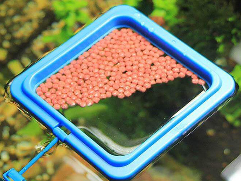 aquatic feed pellets