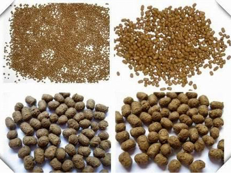 aquatic feed pellets