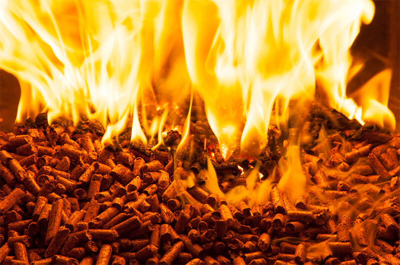 biomass wood pellets