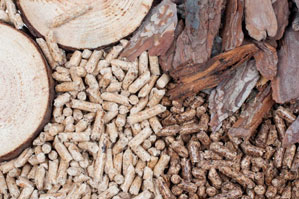 small wood pellet plant 