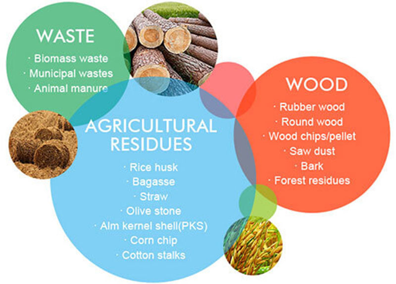 biomass waste