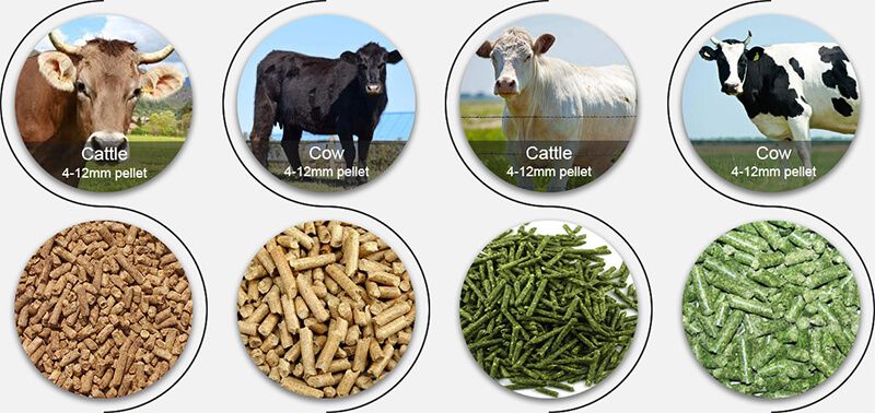 cattle feed pellets for farming