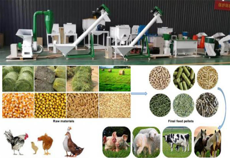 feed pellet production line