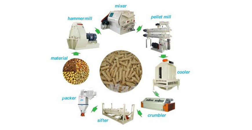 3-5T Animal Feed Pellet Plant