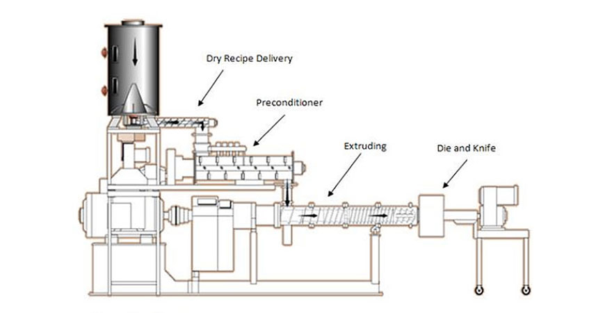 Wet Fish Feed Machine