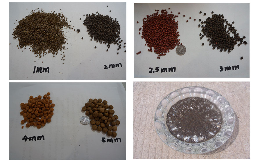 small fish feed pellet production line