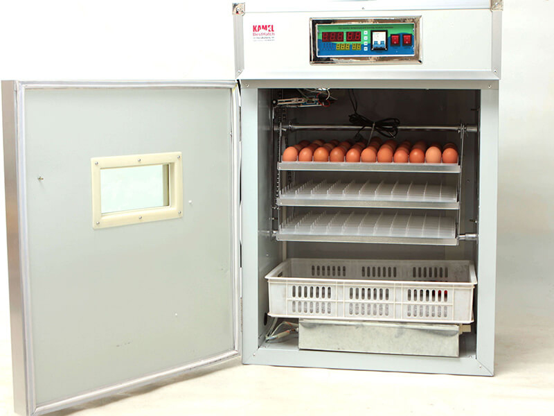 egg hatchery machine