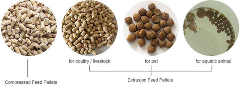 aquatic feed pellets