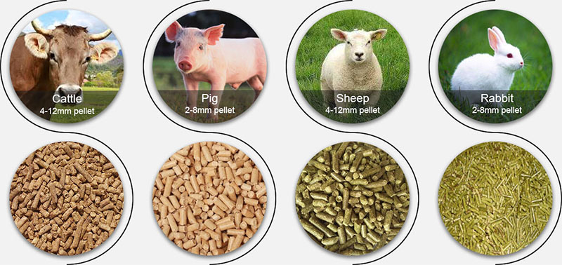 animal feed pellets